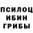 Псилоцибиновые грибы Magic Shrooms Jack Bonner